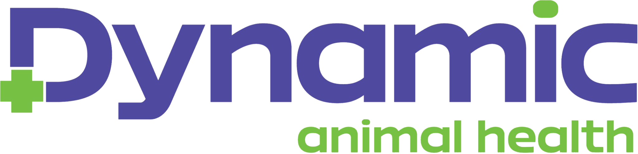 Dynamic
